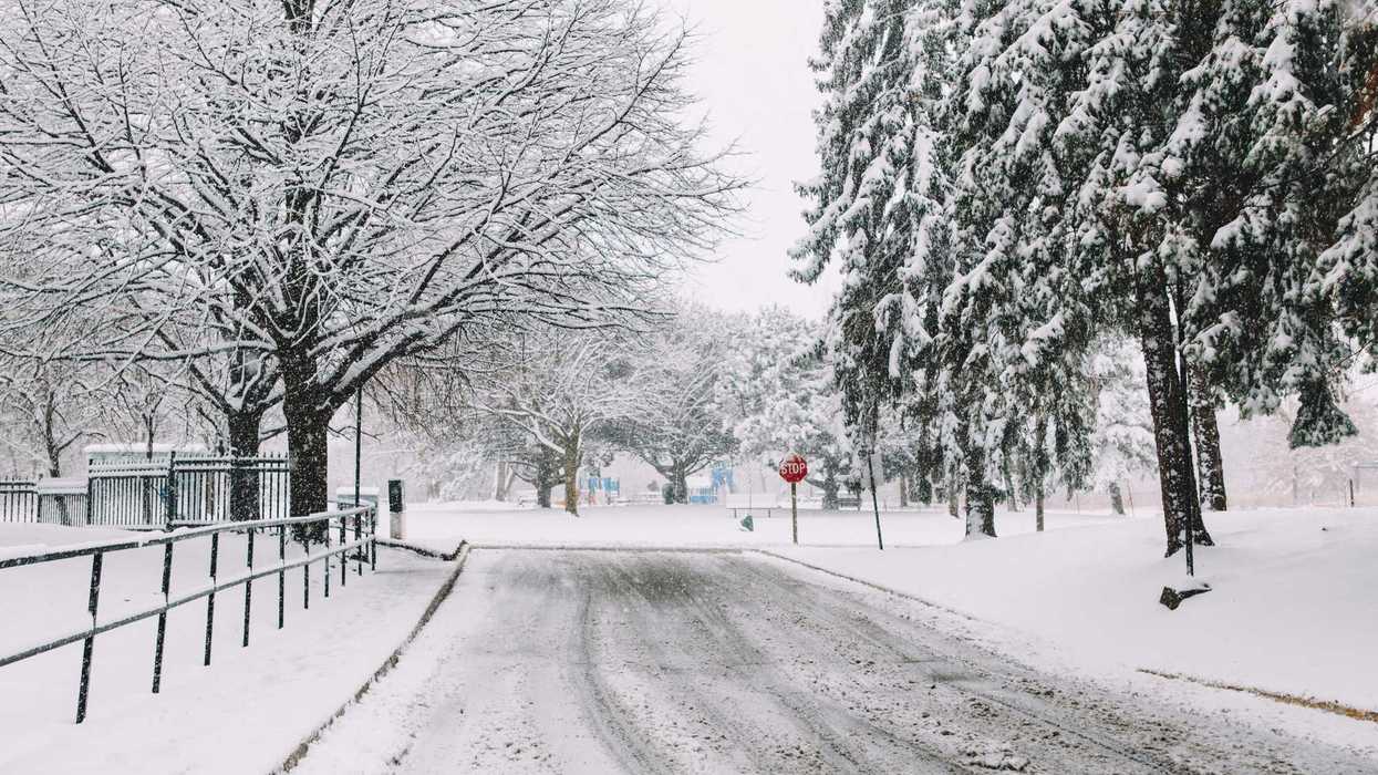 snow covered street and trees in toronto ontario