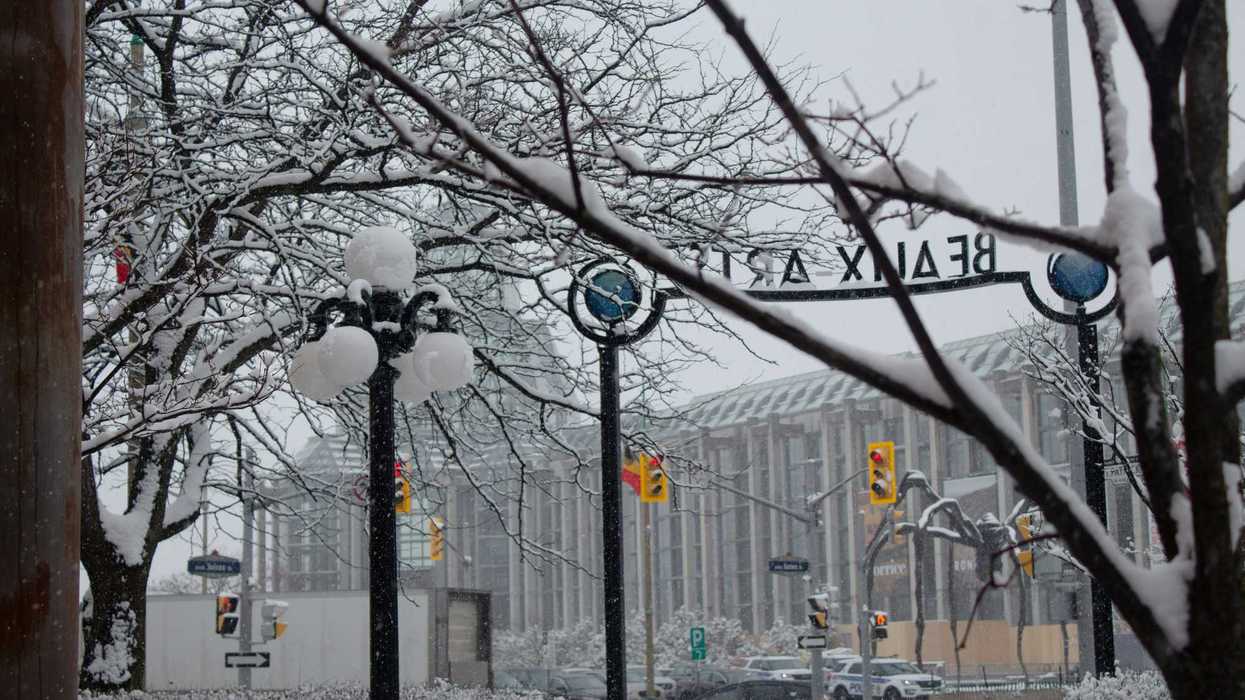 snow covered trees and lights along a street in ottawa ontario