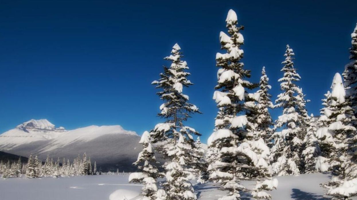 Snow in Alberta