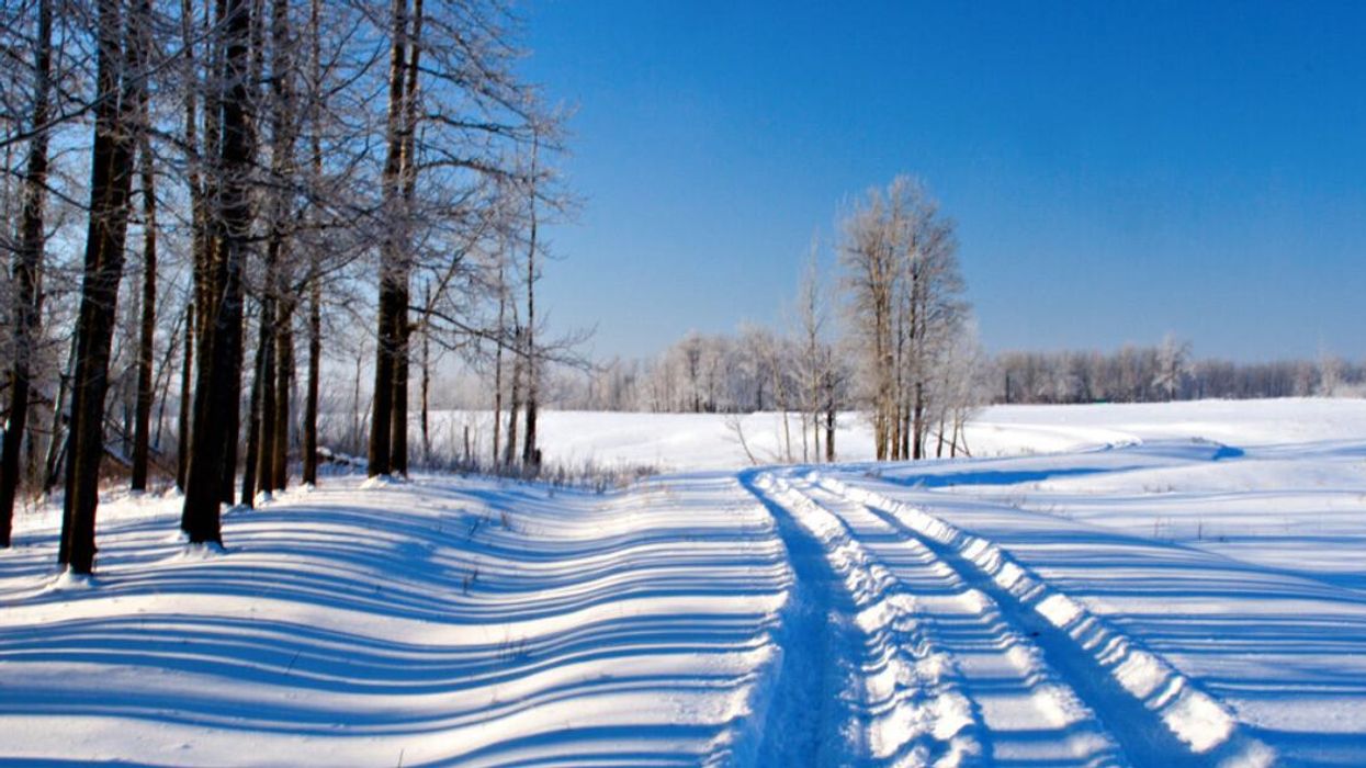 Snow in Alberta.