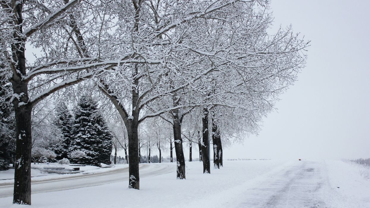 Snow in Calgary, Alberta.