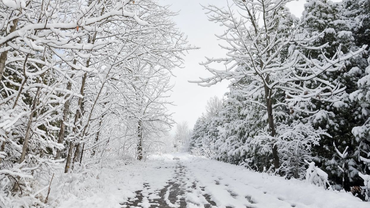 Snow in Northern Ontario.