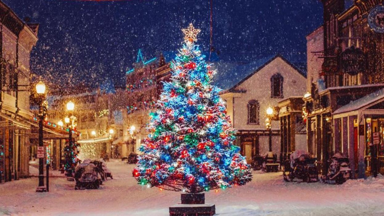 Snowy street with a Christmas tree.