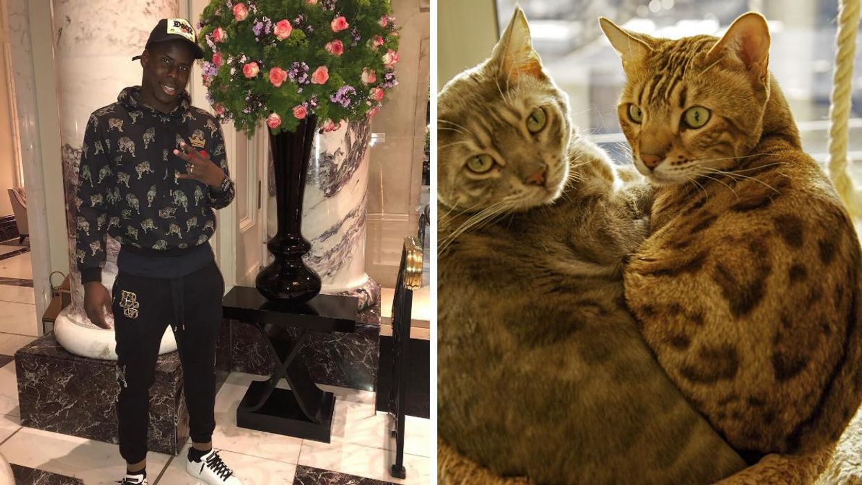 Soccer Star Kurt Zouma Was Caught Kicking His Cat On Video & It Just Cost Him Almost $430K