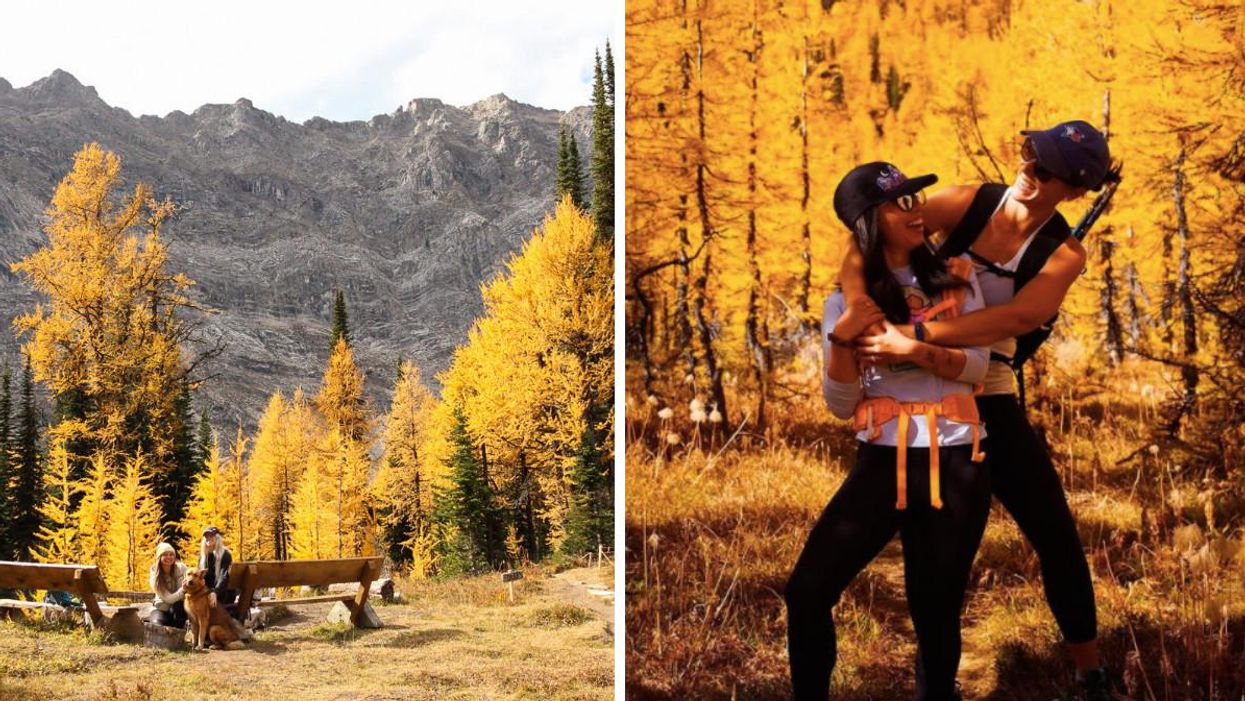 Some Of The Best Fall Views In BC Can Be Found At These 8 Stunning Spots