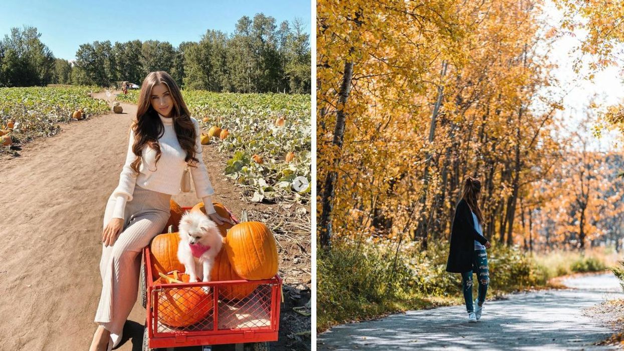 Someone at a pumpkin patch. Right: Someone with some golden trees.