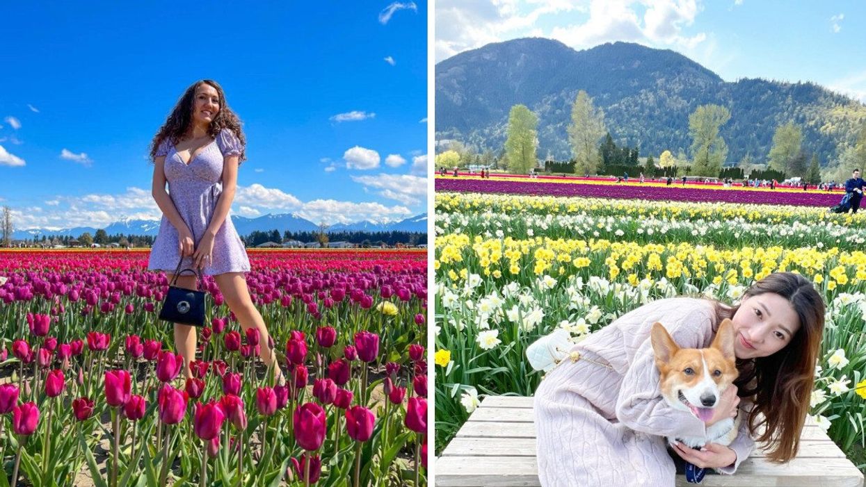 Someone at the Chilliwack Tulip Festival. Right: A visitor with their dog at the Chilliwack Tulip Festival.