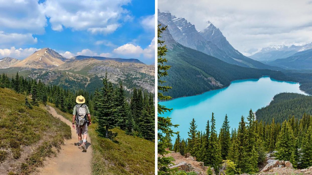 Someone hiking in Alberta. Right: Peyto Lake in Alberta.