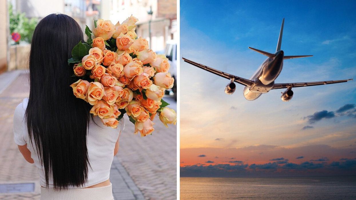 Someone holding a bunch of flowers. Right: An airplane.