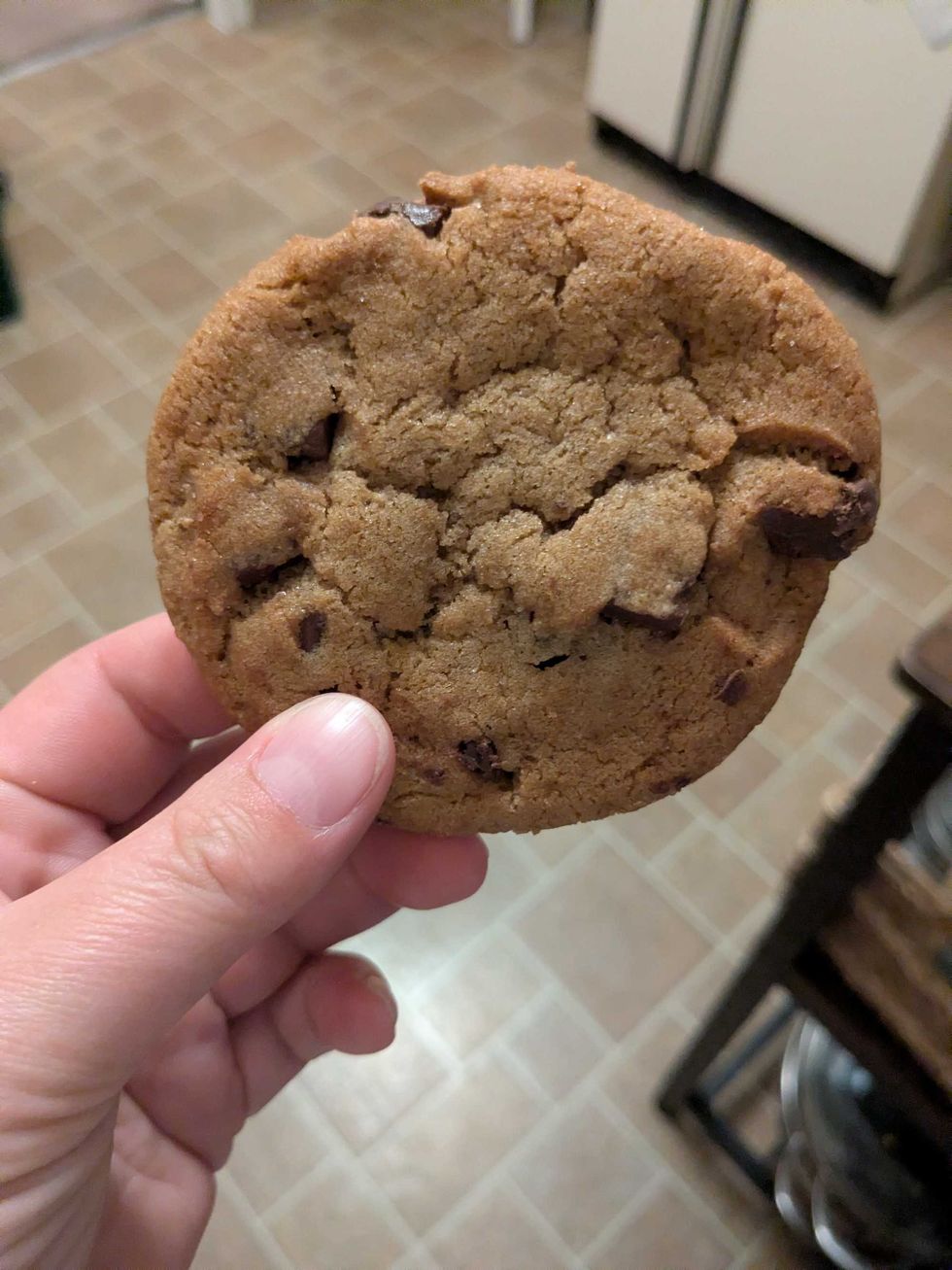 Someone holding a chocolate chip cookie