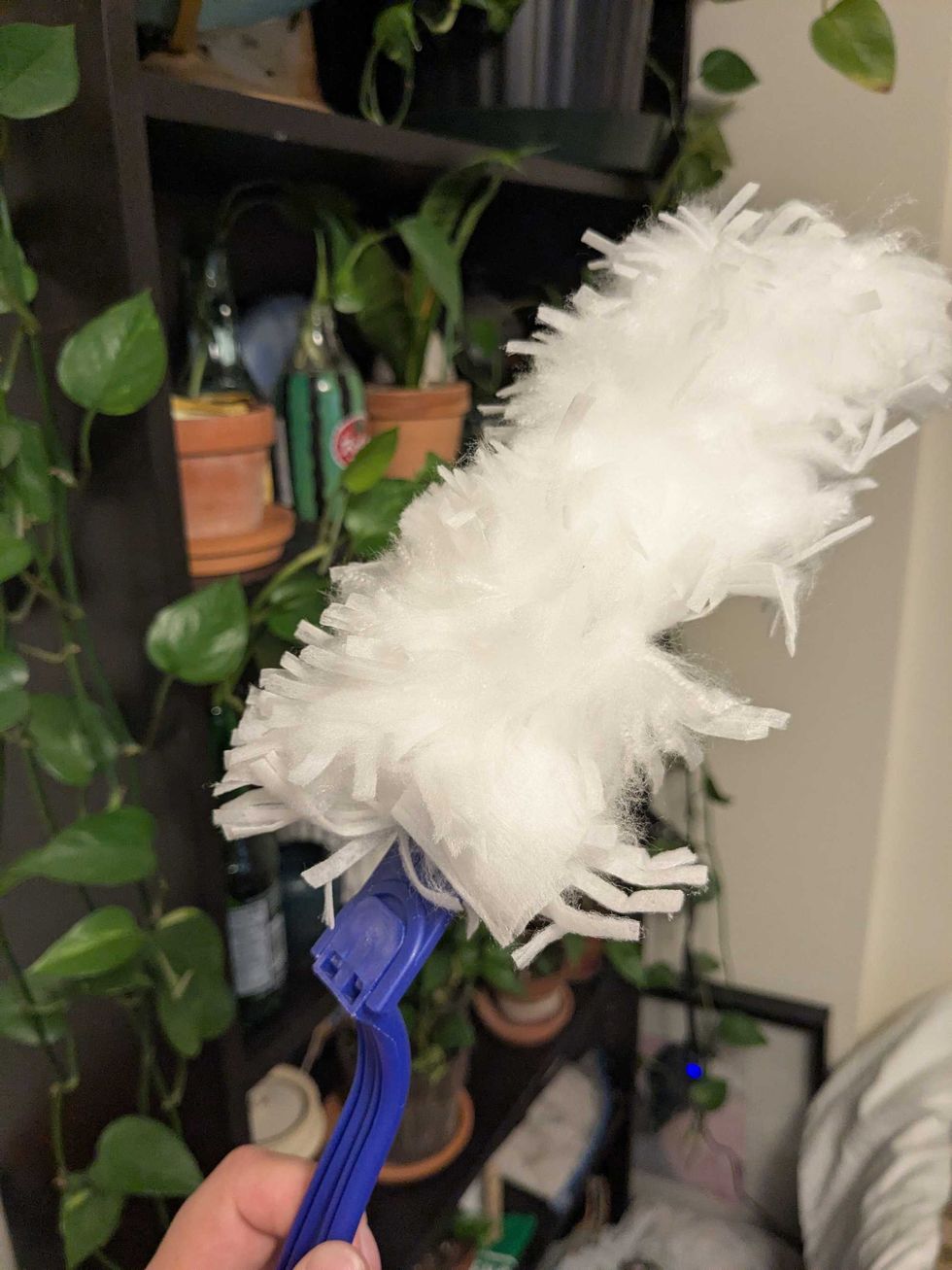 Someone holding a duster up in front of a shelf with plants on it
