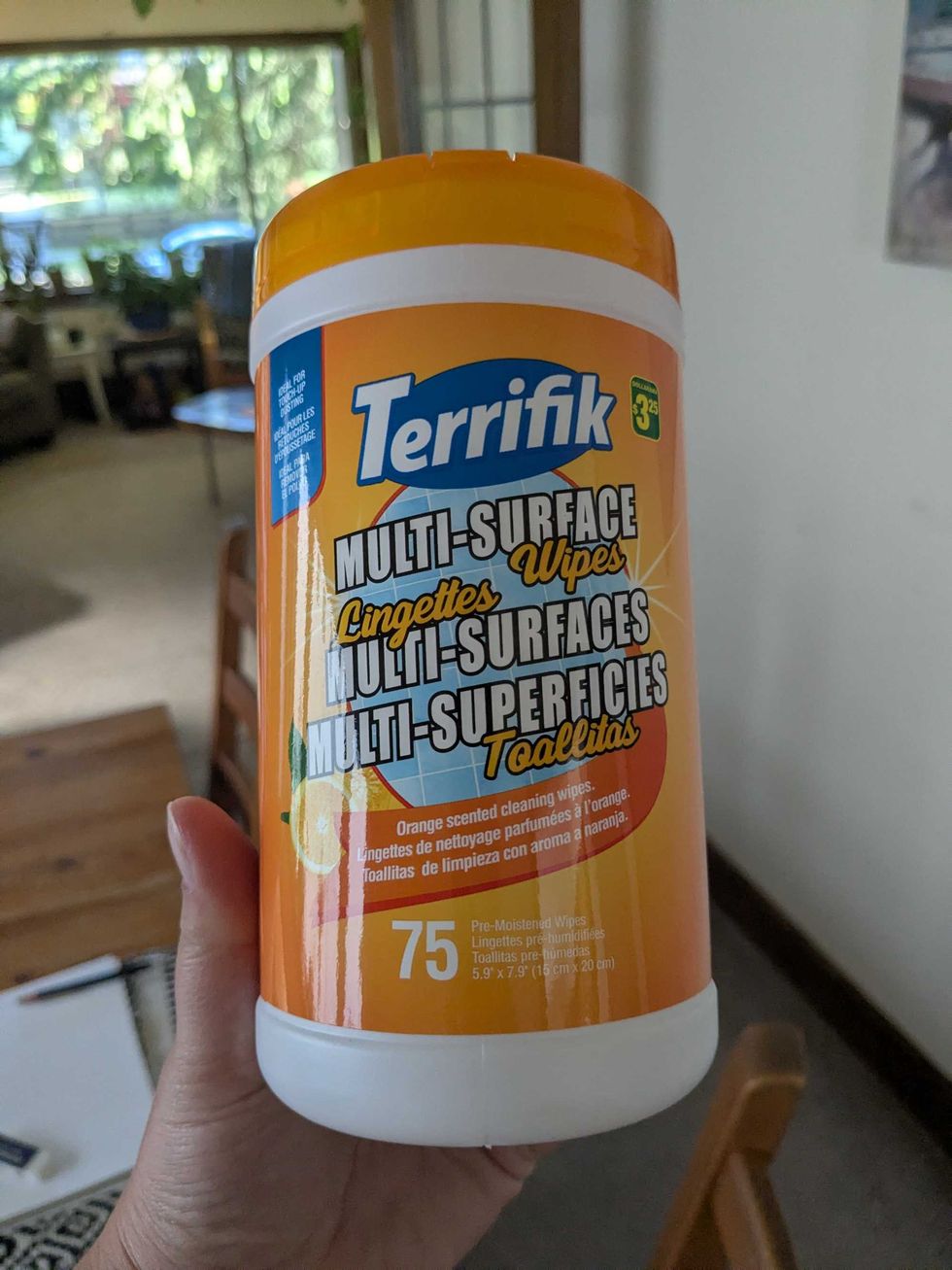 Someone holding a plastic container of orange-scented all purpose wipes