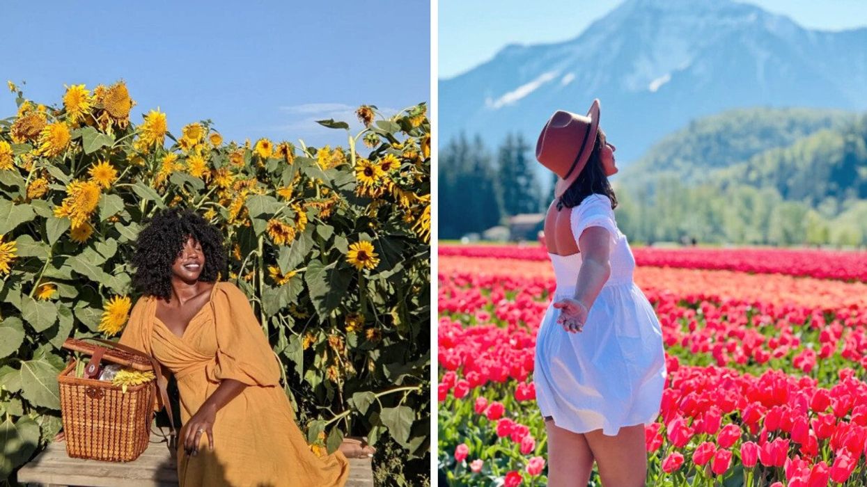 Someone in a sunflower field. Right: Someone in a tulip field.