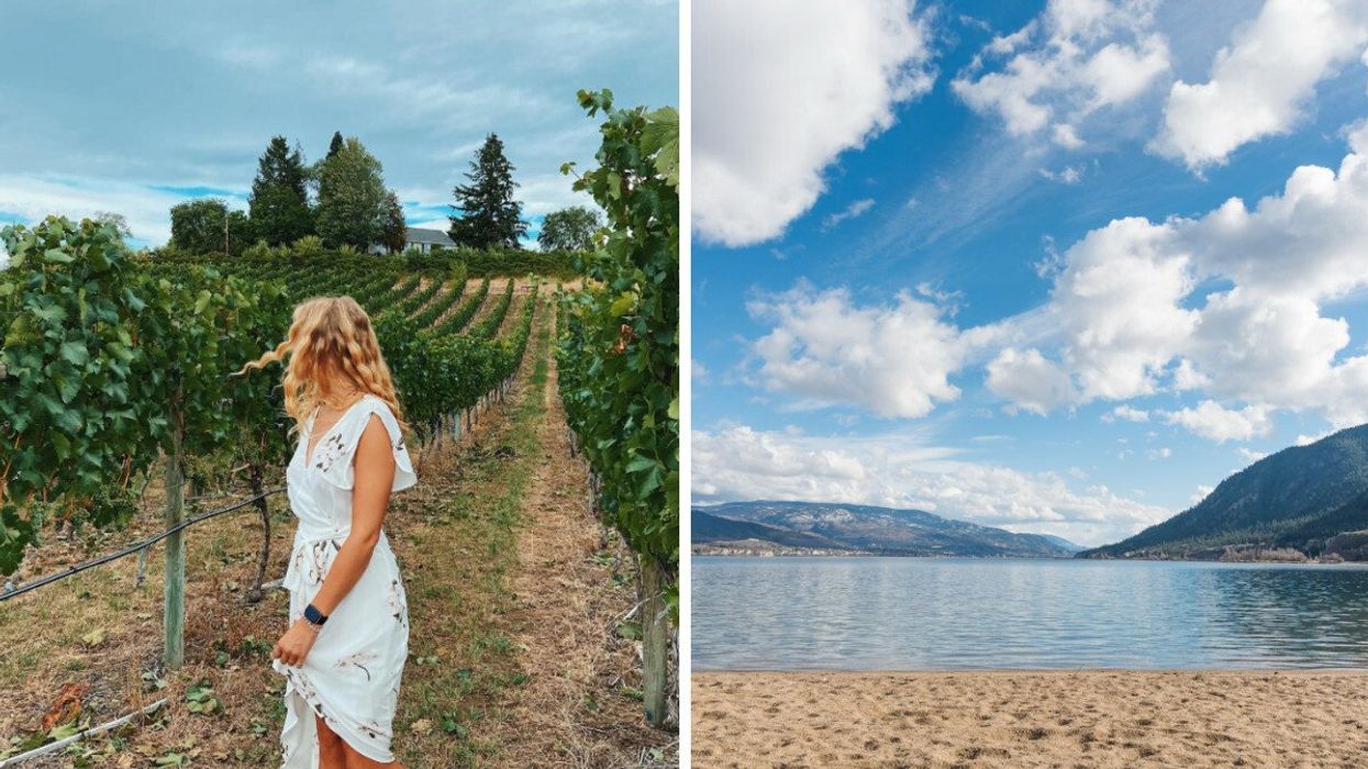 Someone in a vineyard. Right: A lakeshore.