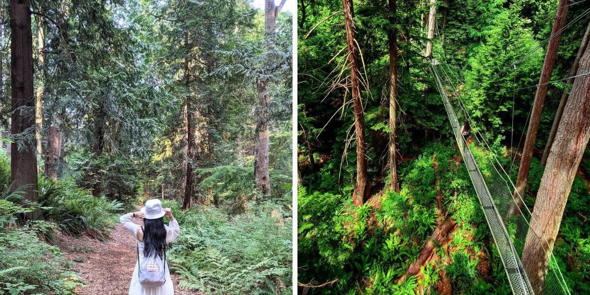 You Can Wander Through Treetops On This Suspension Bridge In BC & It ...