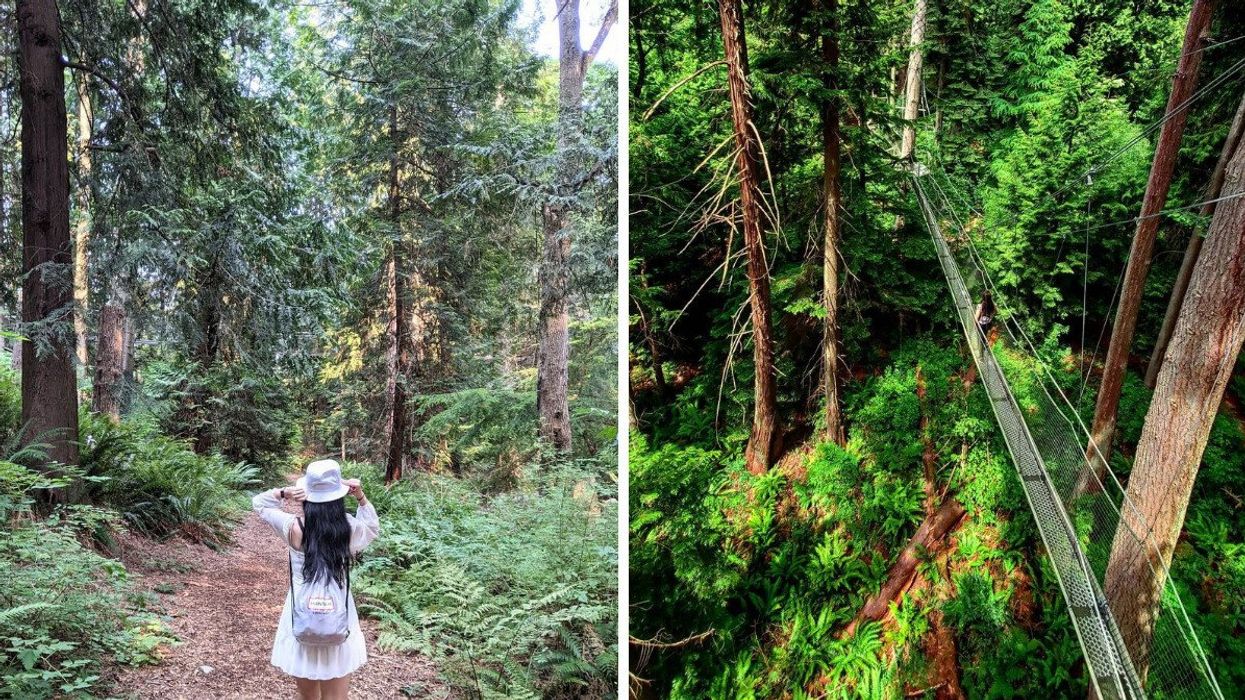 Someone in the UBC Botanical Garden. Right: view of the suspension bridge at the Greenheart Treewalk.