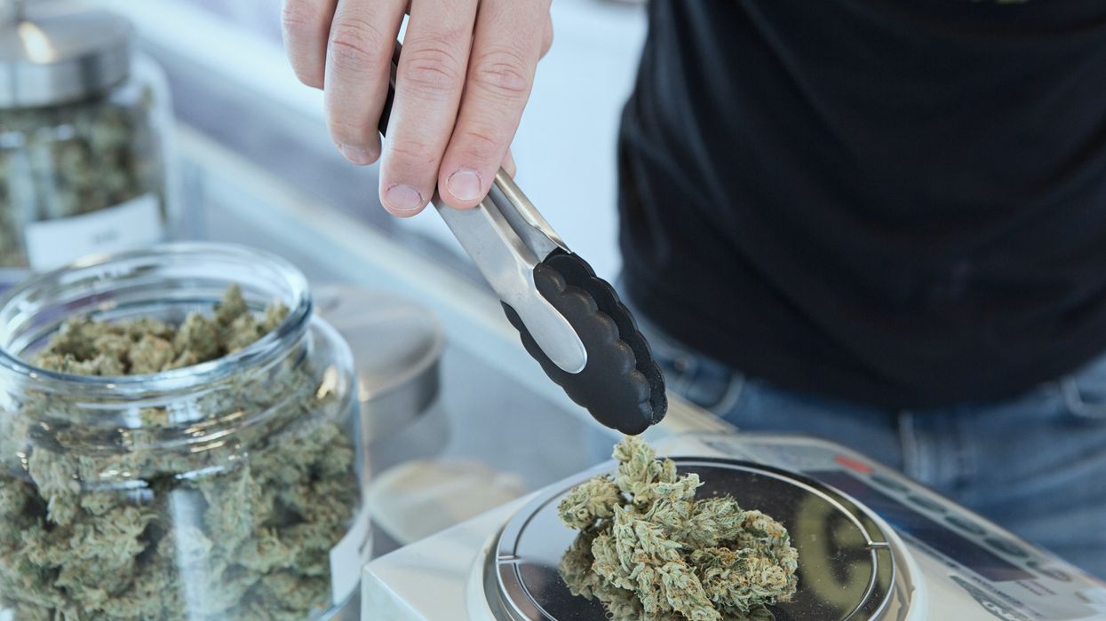 Someone measuring out cannabis flower.