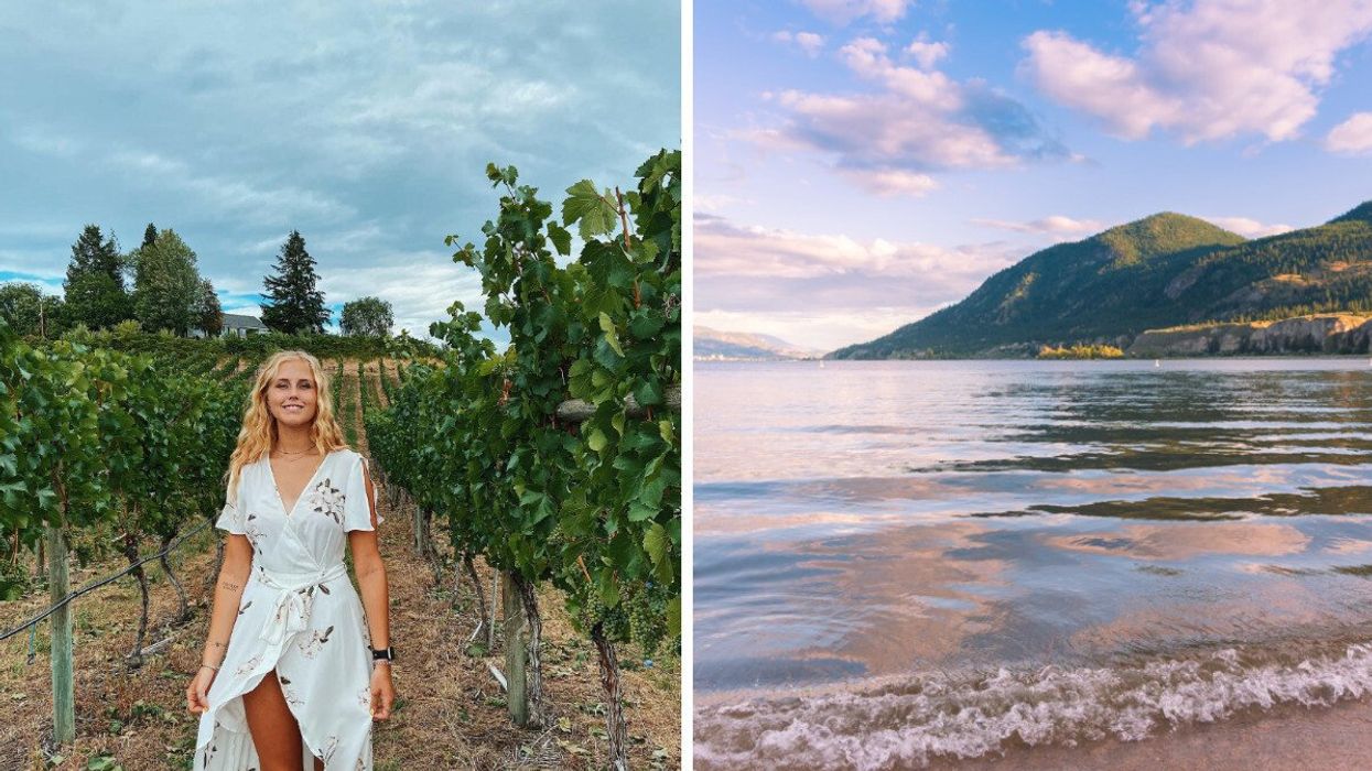 Someone walking in a vineyard. Right: A lake with mountains behind it.