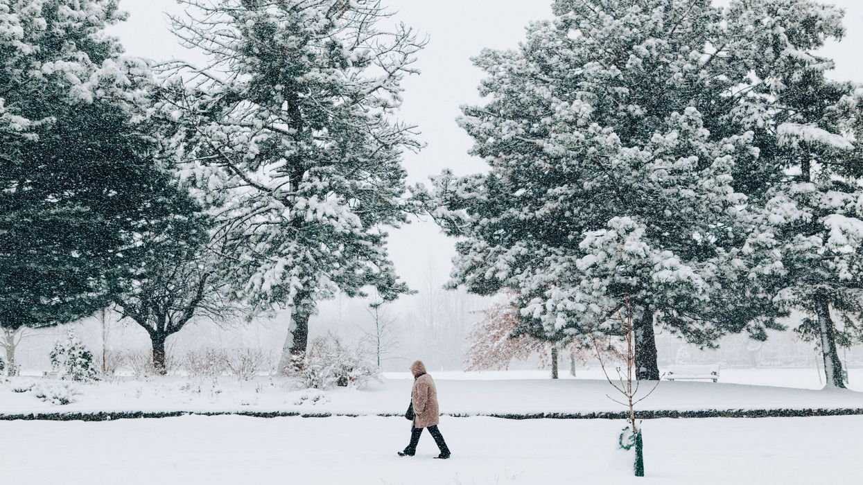 Someone walking through a snowy landscape in Ontario (illustrative).
