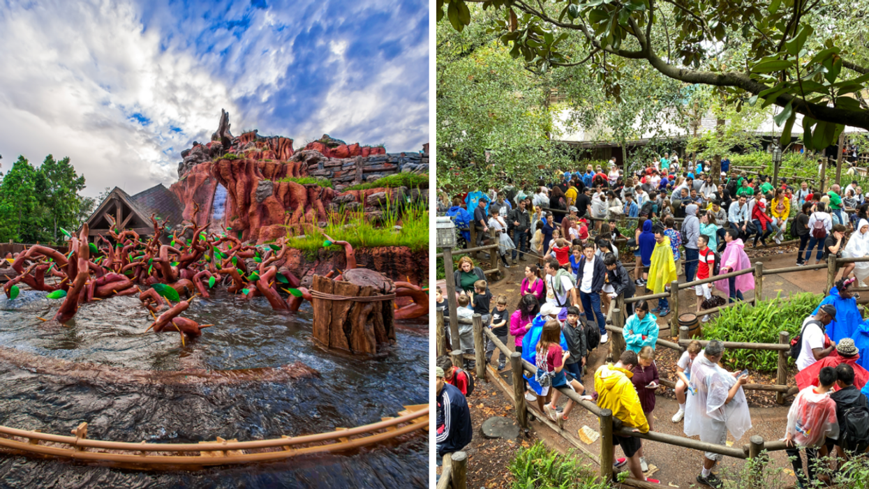 Splash Mountain. Right: The line for Splash Mountain.