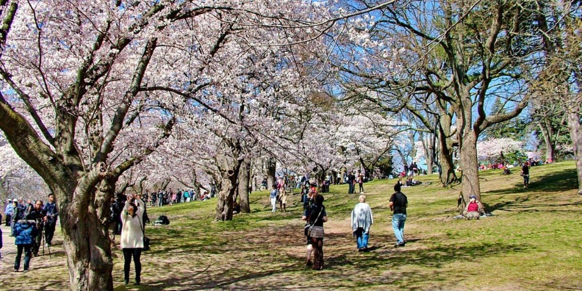 Ontario's Spring Forecast Is Out & Here's What To Expect Over The Next ...