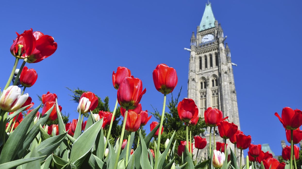 Spring flowers in front of the Peace Tower in Ottawa.