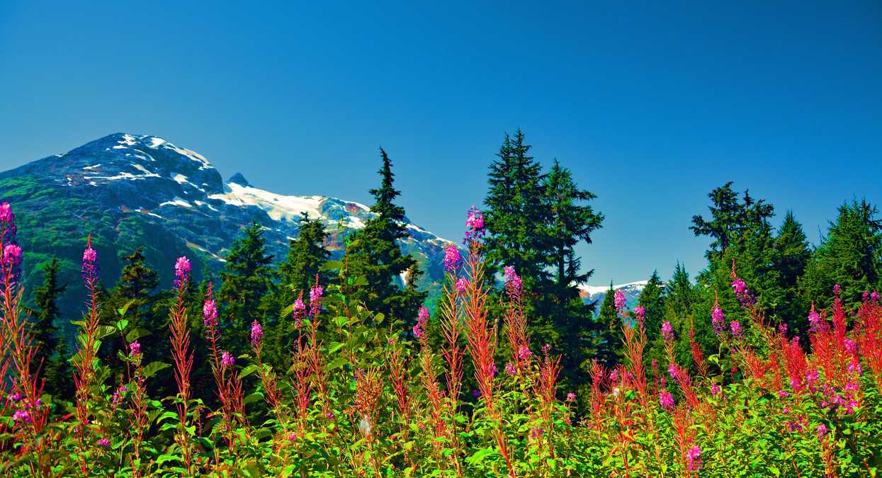 Spring In Canada Is On The Horizon & Toasty Temps Are Coming Too