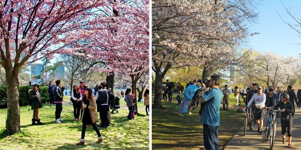 Toronto Early Spring Ontario's Spring Forecast Dropped & Here's When To Expect Warmth Over ...