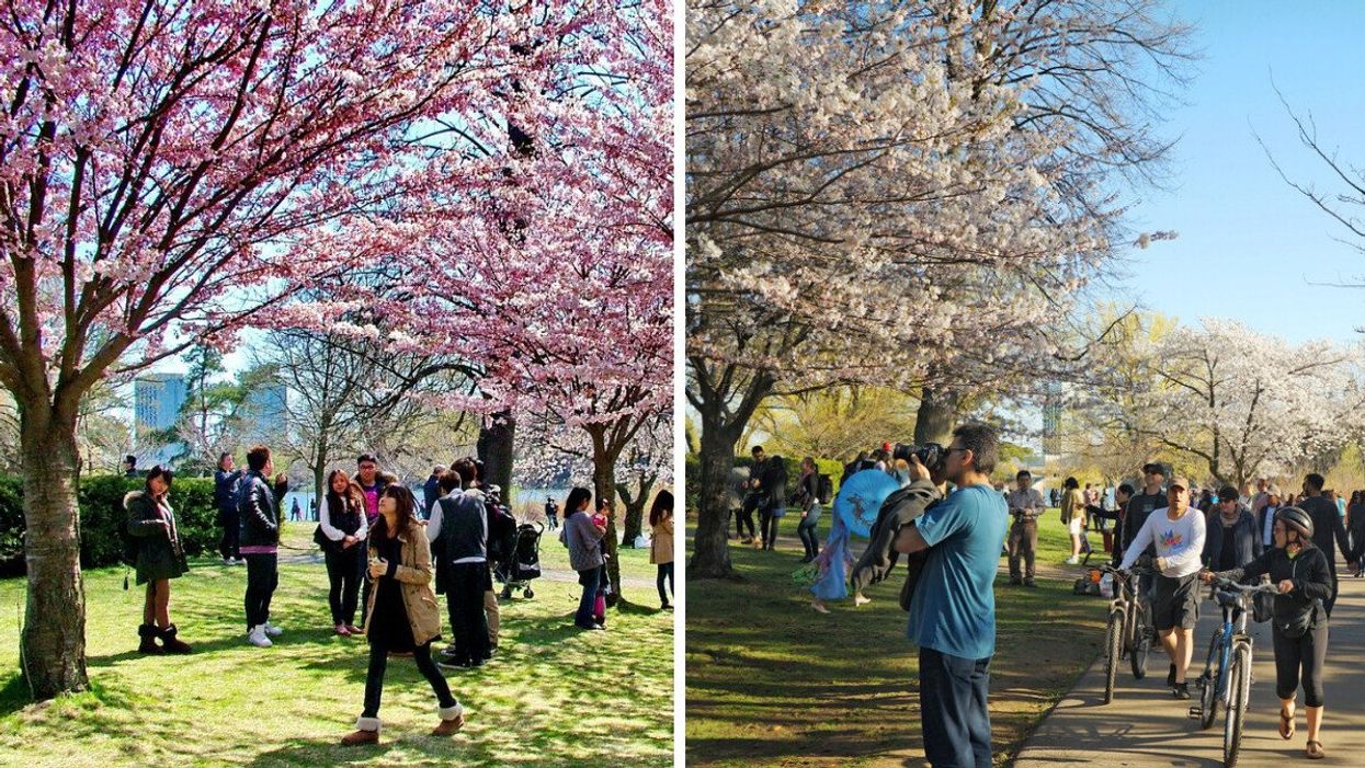 Spring in Toronto. Right: People enjoying High Park