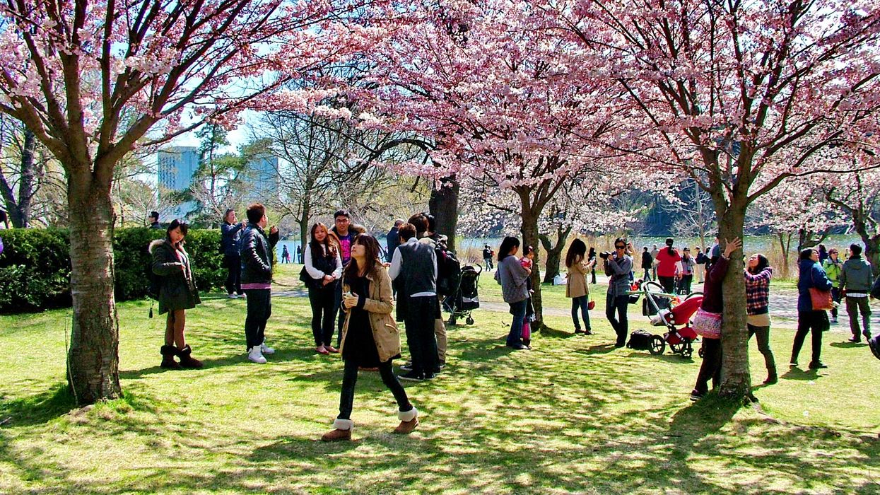 Spring in Toronto's High Park.