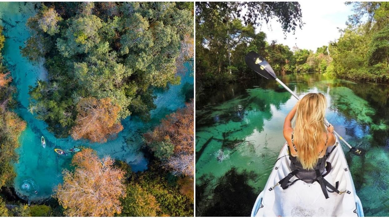 Weeki Wachee Springs State Park In Spring Hill