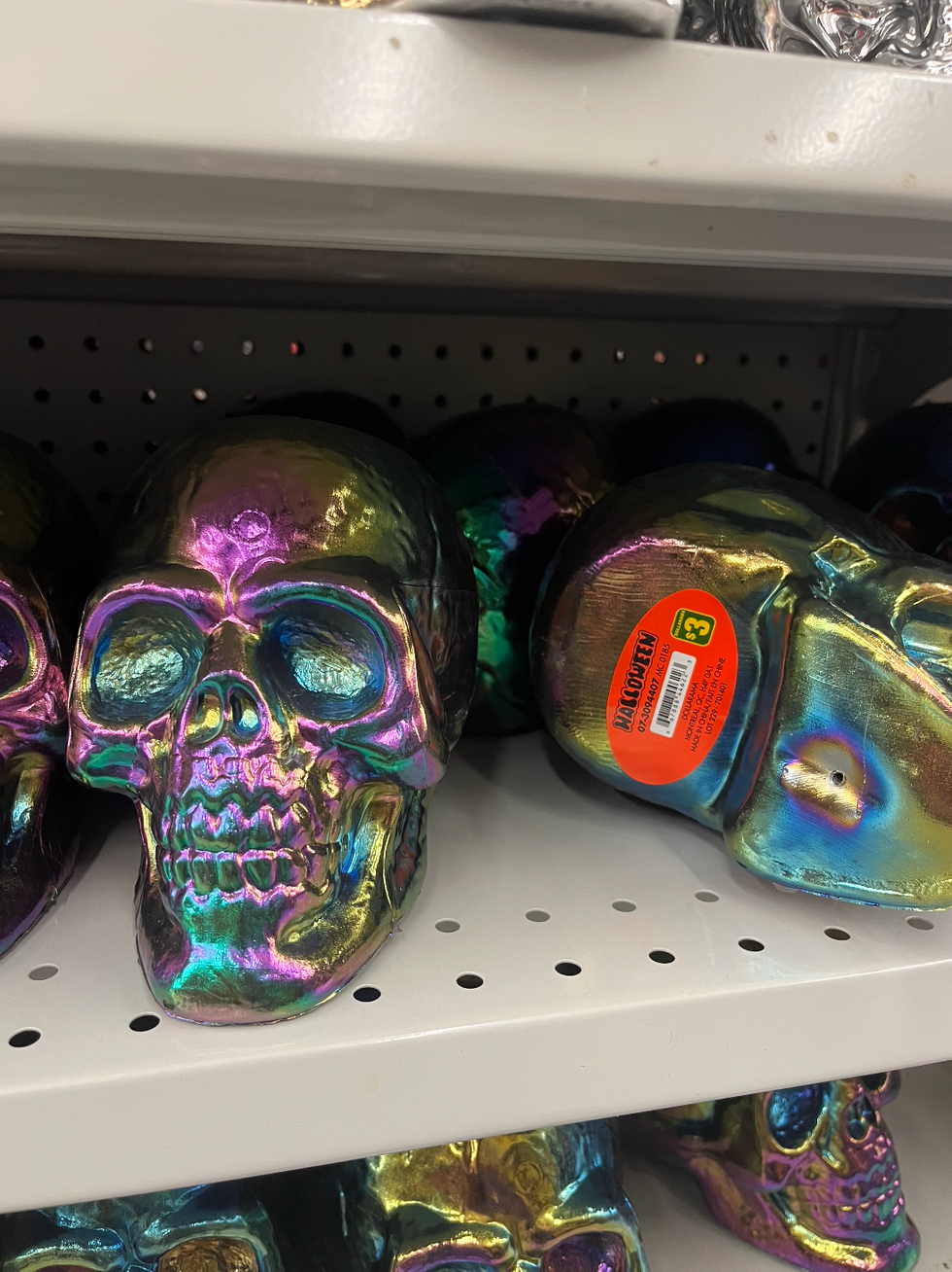 Squelette au Dollarama.