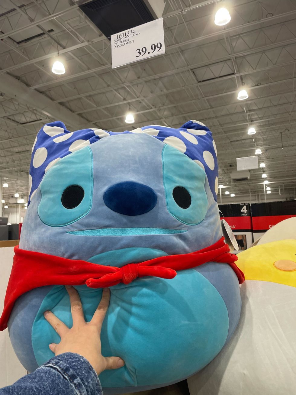 squishmallow plushies at costco