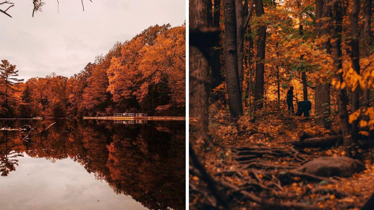 St. Johns Conservation Area Is A Stunning Fall Hike Near Toronto