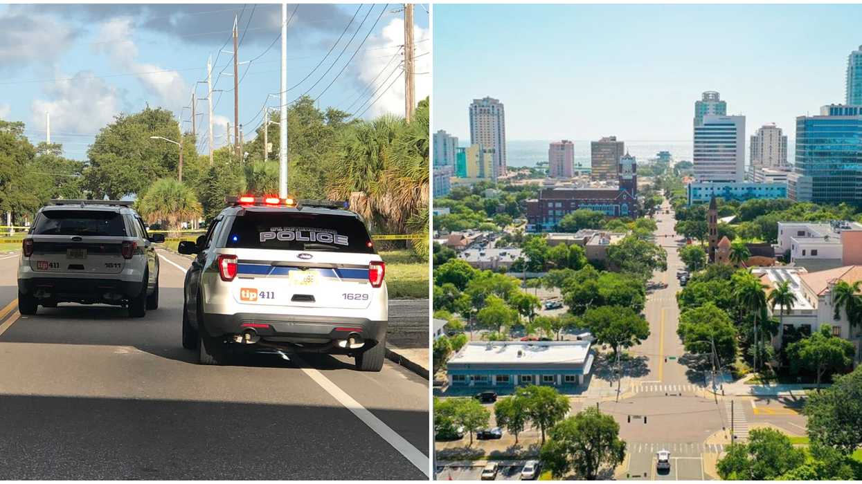 St. Pete Police Are Investigating Severed Human Head Found On Side Of Road