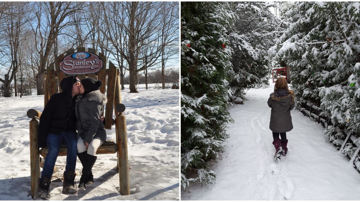 Stanley's Old Maple Lane Farm Is Transforming Into A Christmas Village That Belongs In A Movie