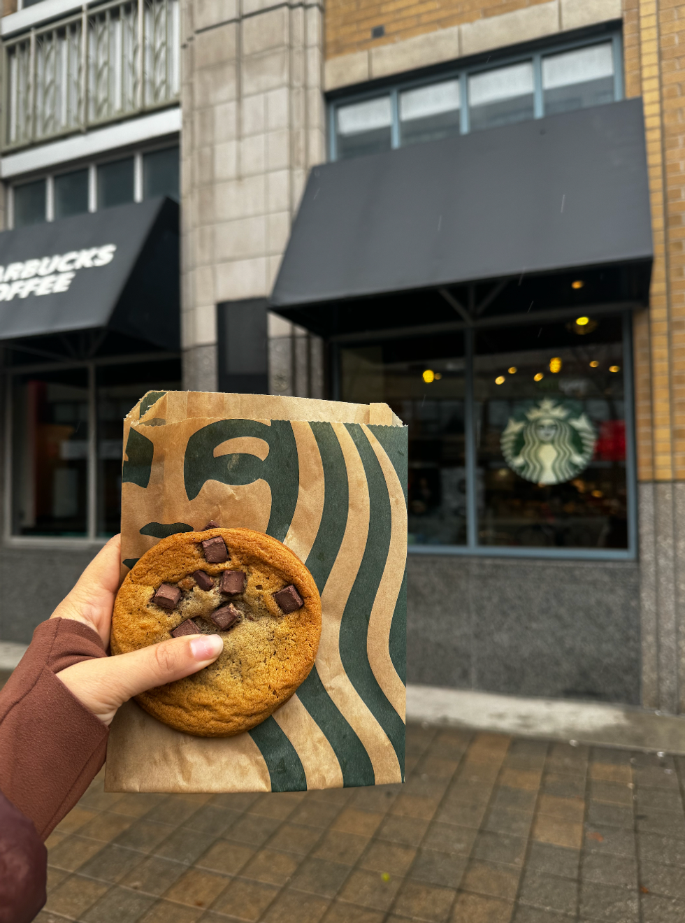 Starbucks Chocolate Chunk Cookie