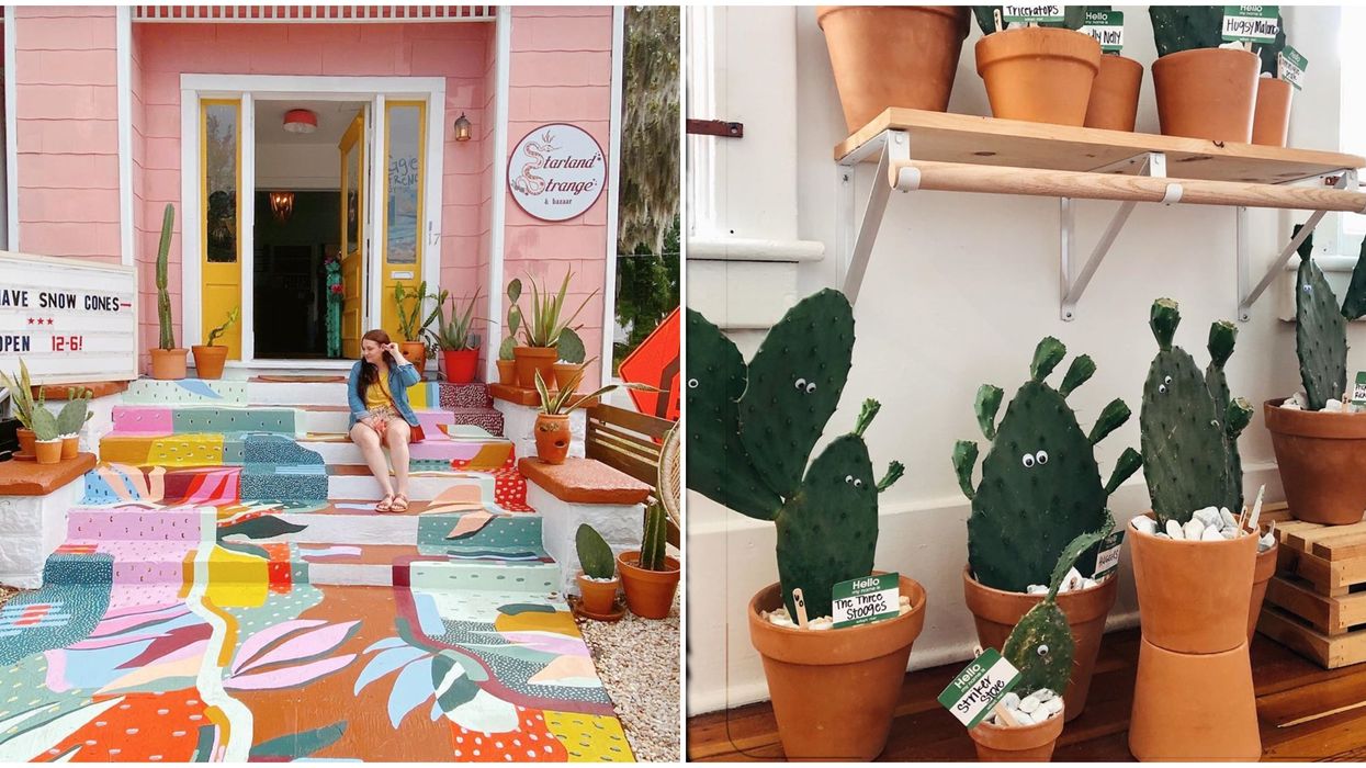 Starland Strange Shop In Savannah Is A Trendy Hippy Haven With Sweet Treats