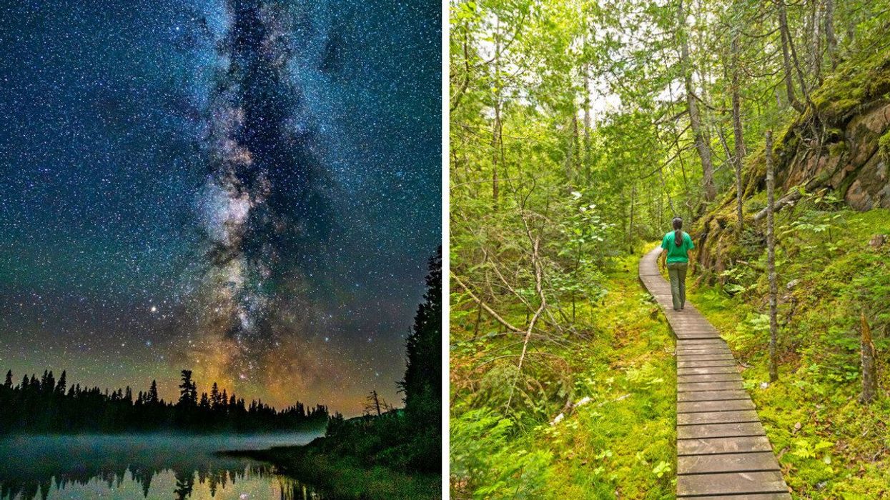 Starry sky over water. Right: A trail through a forest.