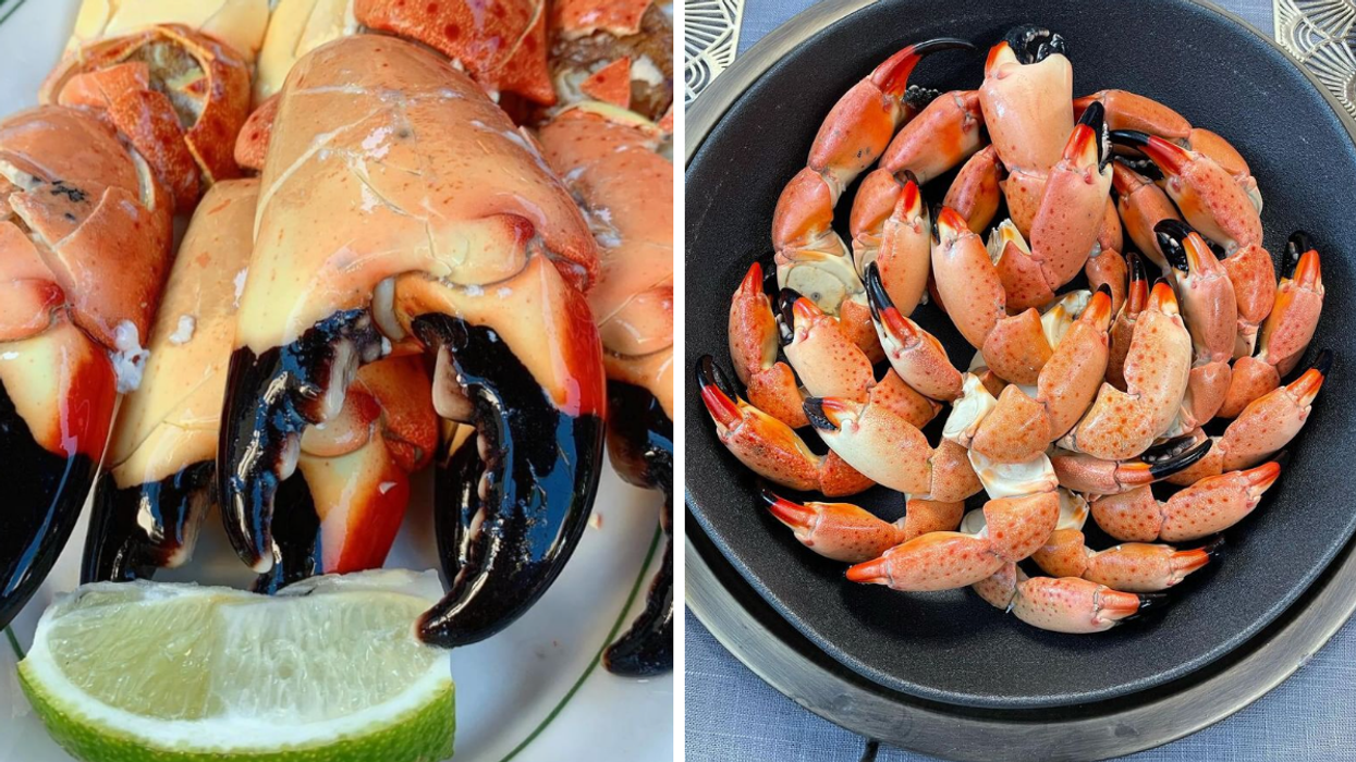Stone crabs on a plate with a lime. Right: Stone crabs on a platter.