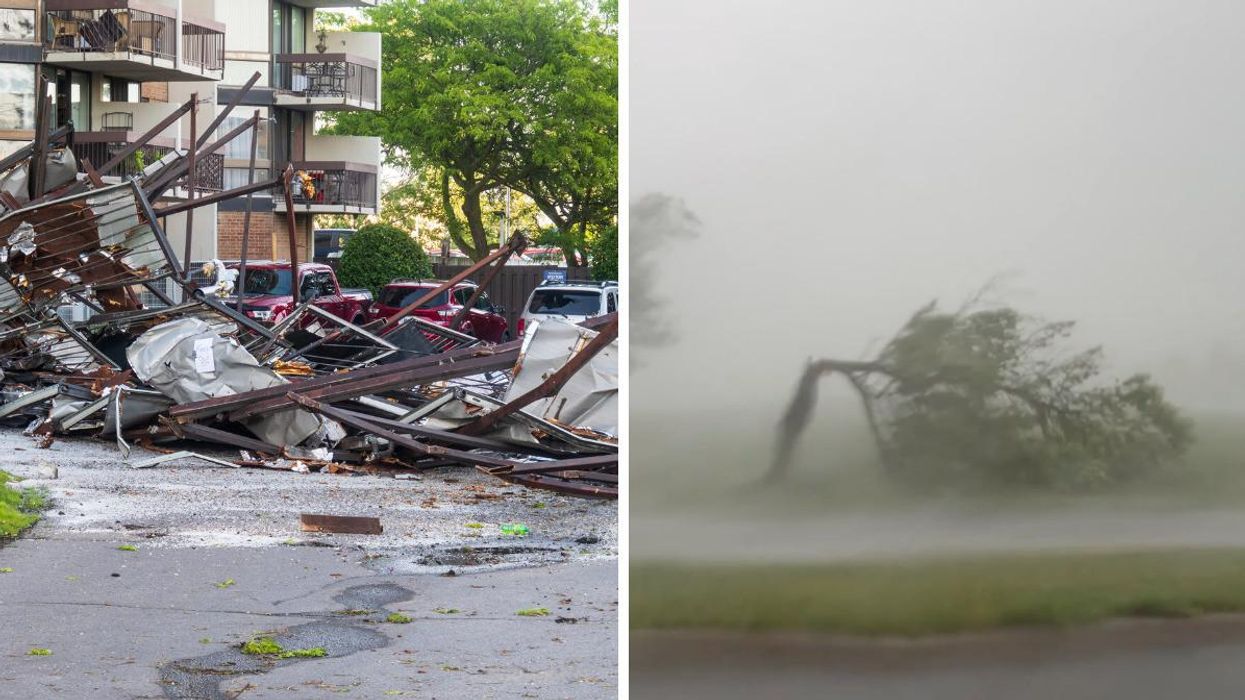 Storm damage around Belleville, Ontario. Right: A tree snapped during the storm.
