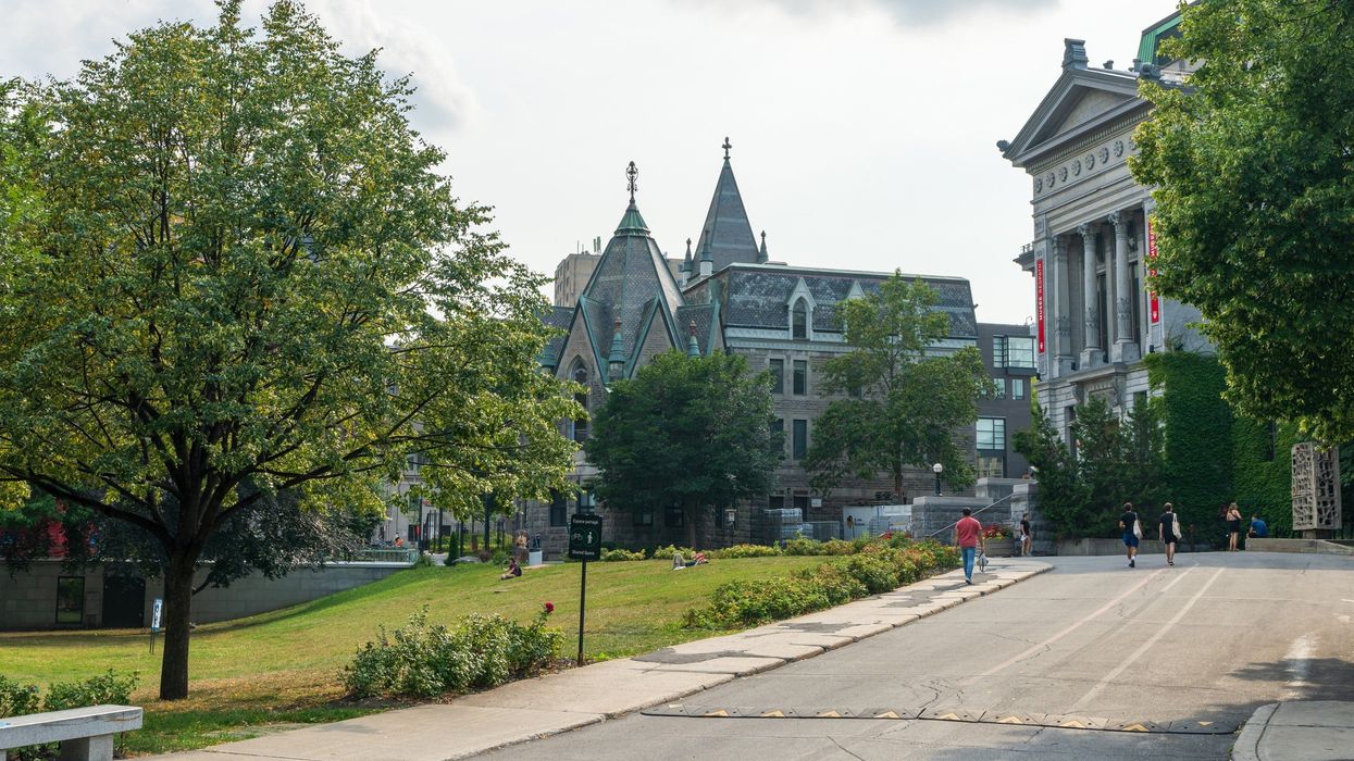 street and buildings on mcgill university campus