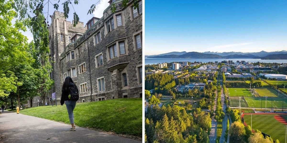 Canada’s top schools fell in this best universities ranking but others aren’t close to U of T Canada’s top schools fell in this best universities ranking but others aren’t close to U of T