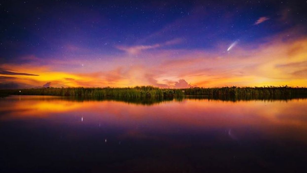 Stunning Comet Neowise Photos Over Florida That You Absolutely Have To See