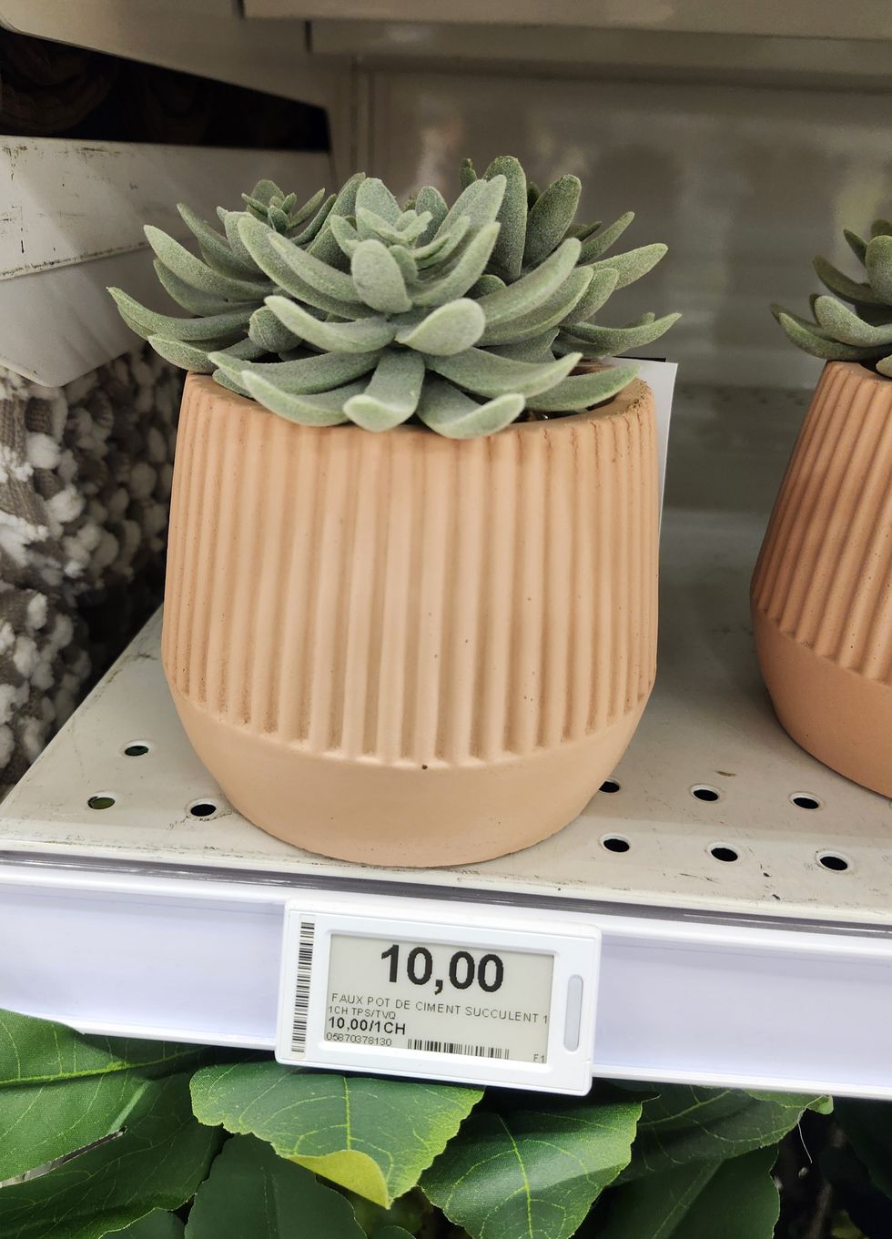 Succulente artificielle dans son vase terracotta.