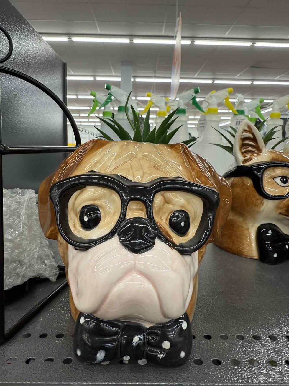 Succulente artificielle dans un pot en forme de carlin qui porte des lunettes et un noeud papillon.