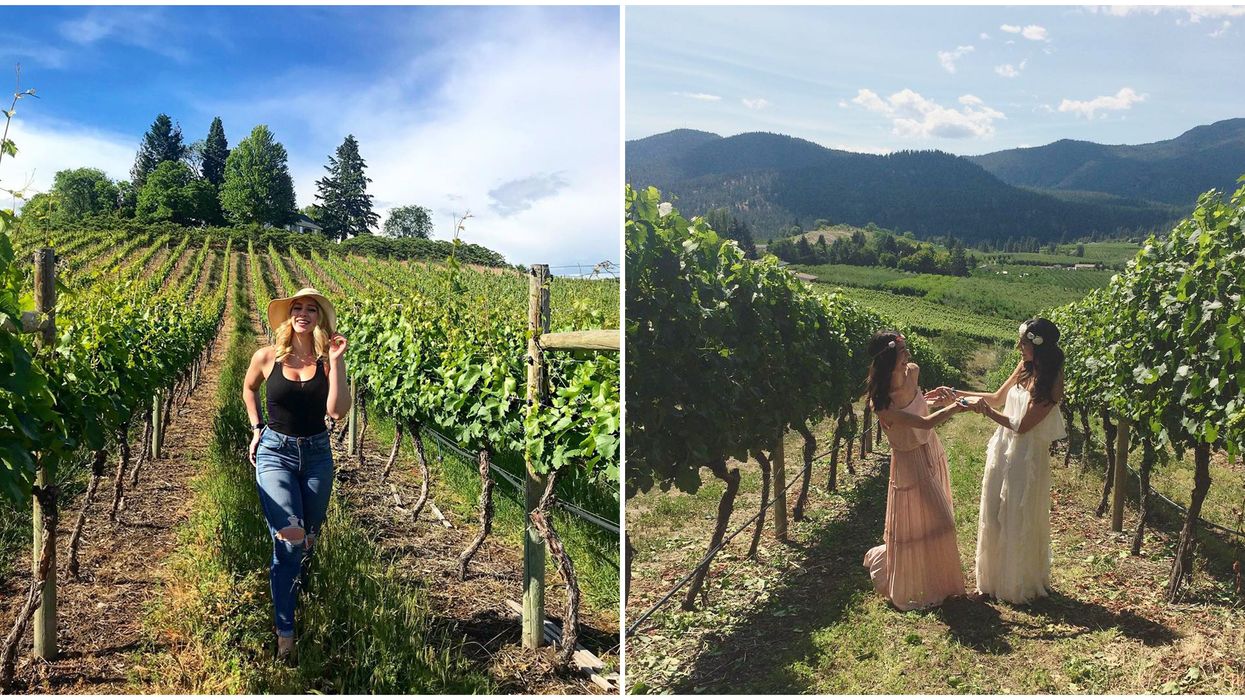 Summerland In B.C. Is Full Of The Best Hidden Wineries Ever