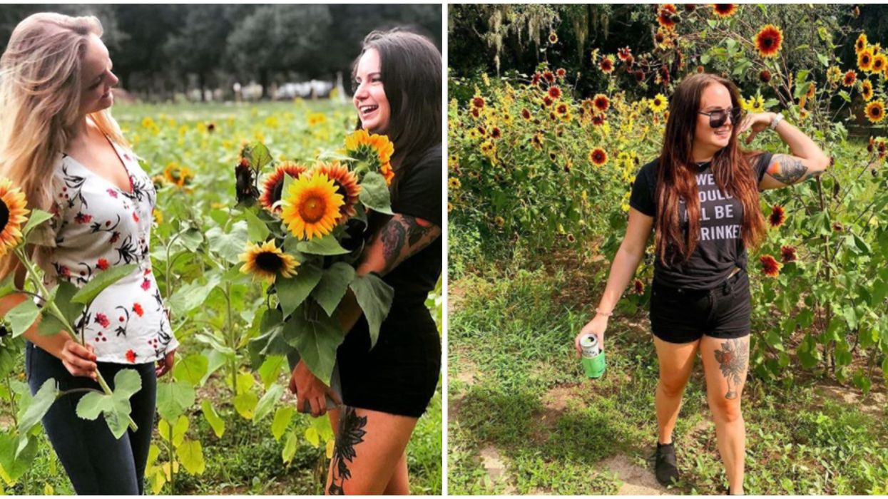 Sunflower Field Near Orlando Hosting Flower Festival This Month