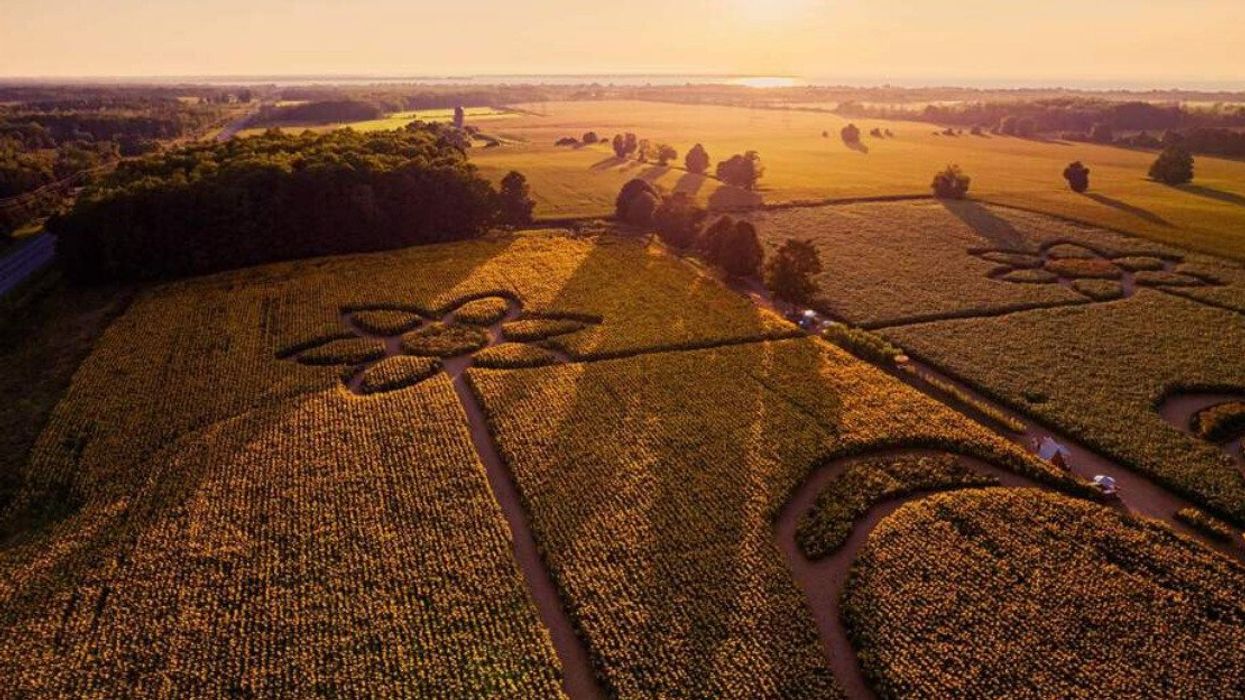 Sunflower-shaped trails at The Sunflower Farm.