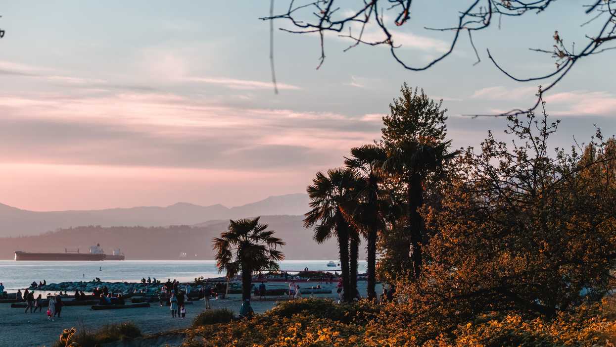 Sunset Beach In Vancouver Closed To Swimmers: High E. Coli Found This Weekend